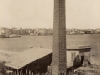 Fiorillo01-300