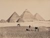 Frith_Lower_Egypt_201603_15_40