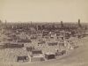 Aegyptenfotos_240x280_2.indd