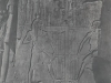 Aegyptenfotos_240x280_2.indd