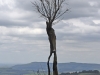 20160209-Drakensberge-SSp13.jpg