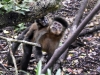 20160220-Tsitsikamma-SSp10.jpg