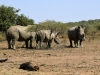 2010214-Hluhluwe-SSp03.jpg