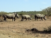 2010214-Hluhluwe-SSp03.jpg