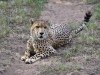 2010214-Hluhluwe-SSp03.jpg