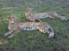 2010214-Hluhluwe-SSp03.jpg