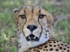 2010214-Hluhluwe-SSp03.jpg