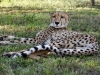 2010214-Hluhluwe-SSp03.jpg