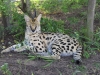 2010214-Hluhluwe-SSp03.jpg