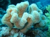 Ägypten-24
