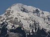 Alpbachtal-07