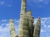 Arizona-001