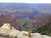 Arizona-006