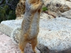 Arizona-031