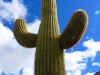 Arizona-005