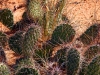 Arizona-025