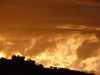 Arizona-037