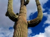 Arizona-038