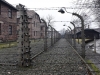 20160125-27-Auschwitz-015