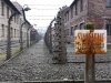 20160125-27-Auschwitz-016