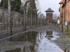 20160125-27-Auschwitz-038