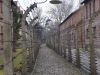 20160125-27-Auschwitz-052