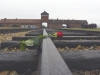 20160125-27-Auschwitz-059