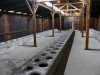 20160125-27-Auschwitz-060