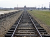 20160125-27-Auschwitz-065