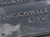 20160125-27-Auschwitz-067
