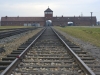20160125-27-Auschwitz-078