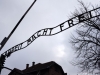 20160125-27-Auschwitz-135