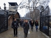 20160125-27-Auschwitz-136