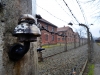20160125-27-Auschwitz-137