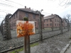 20160125-27-Auschwitz-138