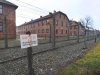 20160125-27-Auschwitz-139