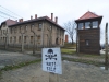 20160125-27-Auschwitz-154