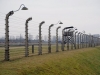 20160125-27-Auschwitz-156