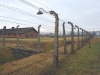 20160125-27-Auschwitz-160