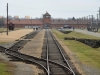 20160125-27-Auschwitz-163