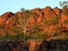 Aborigines 006