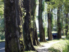 Bodensee-004