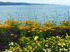 Bodensee-012