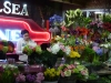 Broadway-29