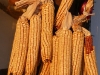 Bulgarien-034