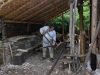 20180519-Galli-SSp08.JPG