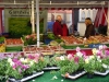 Chiemsee-40