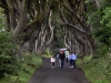 20220707-Dark-Hedges-SSp02