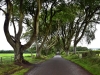 20220707-Dark-Hedges-SSp08