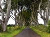 20220707-Dark-Hedges-SSp13